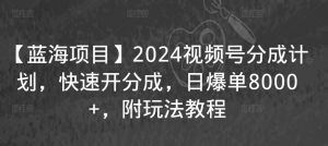 【蓝海项目】2024视频号分成计划，快速开分成，日爆单8000+，附玩法教程-16888副业资讯
