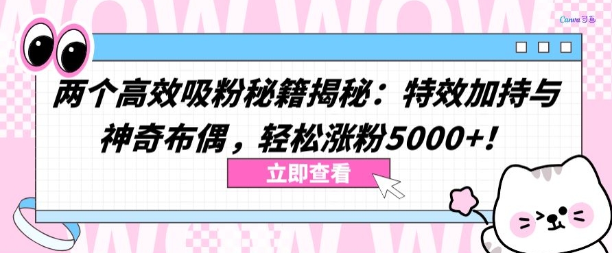 两个高效吸粉秘籍揭秘：特效加持与神奇布偶，轻松涨粉5000+【揭秘】-16888副业资讯