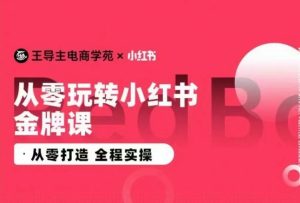 王导主·小红书电商运营实操课,从零打造 全程实操-16888副业资讯