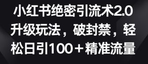 小红书绝密引流术2.0升级玩法,破封禁,轻松日引100+精准流量【揭秘】-16888副业资讯