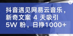 抖音遇见网易云音乐,新奇文案 4 天吸引 5W 粉,日挣1000+【揭秘】-16888副业资讯