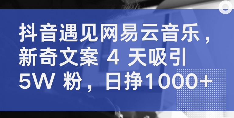 抖音遇见网易云音乐，新奇文案 4 天吸引 5W 粉，日挣1000+【揭秘】-16888副业资讯