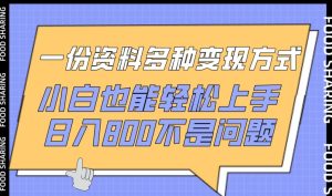 一份资料多种变现方式，小白也能轻松上手，日入800不是问题【揭秘】-16888副业资讯