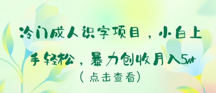 冷门成人识字项目，小白上手轻松，暴力创收月入5w+【揭秘】-16888副业资讯