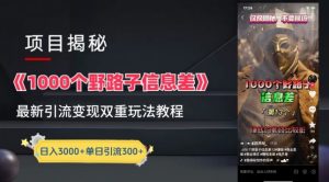 一千个野路子信息差最新玩法教程-变现+引流的玩法具体拆解【揭秘】-16888副业资讯