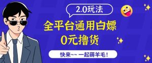 外面收费2980的全平台通用白嫖撸货项目2.0玩法【仅揭秘】-16888副业资讯