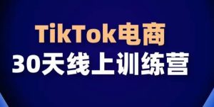 TikTok电商带货30天线上课,不可错过的全球流量洼地!-16888副业资讯