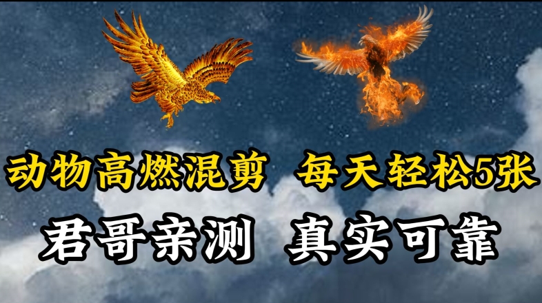 动物超燃混剪，每天轻松5张，剪辑简单大家爱看【揭秘】-16888副业资讯