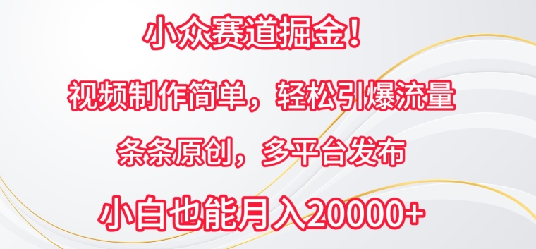 小众赛道掘金，视频制作简单，轻松引爆流量，条条原创，多平台发布【揭秘】-16888副业资讯