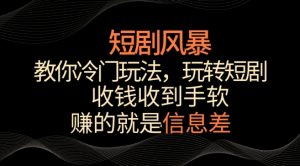 短剧风暴,教你冷门玩法,玩转短剧,收钱收到手软【揭秘】-16888副业资讯