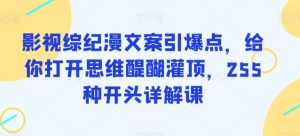 影视综纪漫文案引爆点,给你打开思维醍醐灌顶,255种开头详解课-16888副业资讯