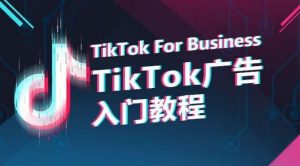 TikTok广告入门教程,从0到1掌握TikTok投放的全流程-16888副业资讯
