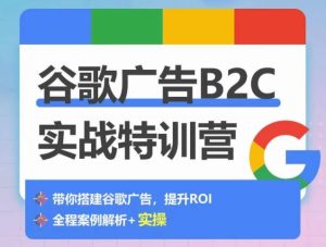 谷歌广告B2C实战特训营,500+谷歌账户总结经验,实战演示如何从0-1搭建广告账户-16888副业资讯