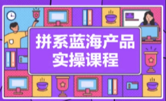 拼系冷门蓝海产品实操课程，从注册店铺到选品上架到流量维护环环相扣-16888副业资讯