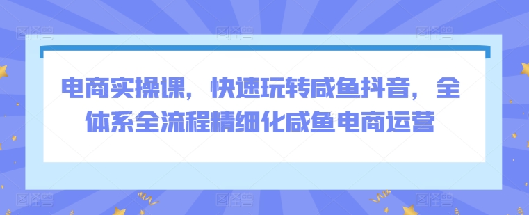 电商实操课，快速玩转咸鱼抖音，全体系全流程精细化咸鱼电商运营-16888副业资讯