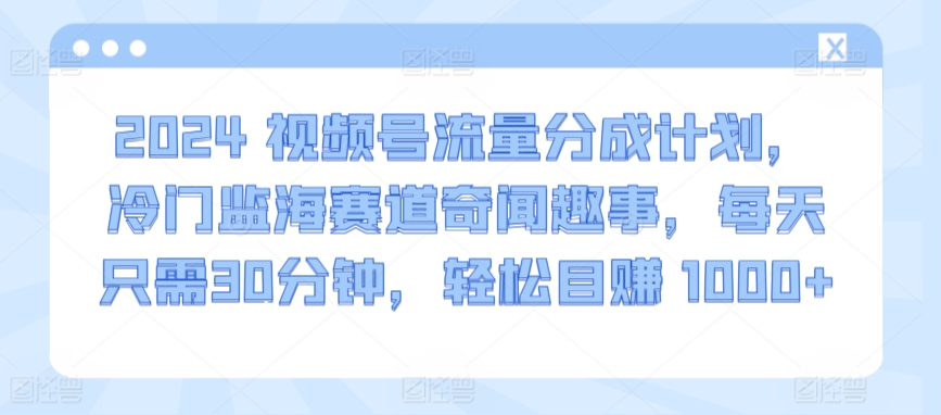 2024视频号流量分成计划，冷门监海赛道奇闻趣事，每天只需30分钟，轻松目赚 1000+【揭秘】-16888副业资讯
