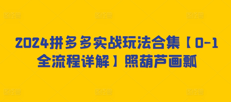 2024拼多多实战玩法合集【0-1全流程详解】照葫芦画瓢-16888副业资讯