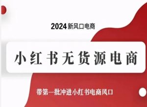 2024新风口电商，小红书无货源电商，带第一批冲进小红书电商风口-16888副业资讯
