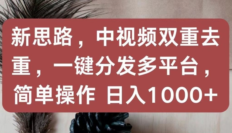 新思路，中视频双重去重，一键分发多平台，简单操作，日入1000+【揭秘】-16888副业资讯