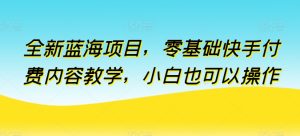 全新蓝海项目，零基础快手付费内容教学，小白也可以操作【揭秘】-16888副业资讯