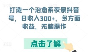 打造一个治愈系夜景抖音号,日收入300+,多方面收益,无脑操作【揭秘】-16888副业资讯