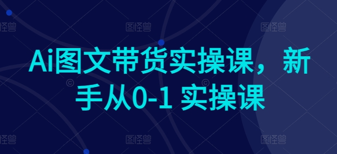 Ai图文带货实操课，新手从0-1 实操课-16888副业资讯