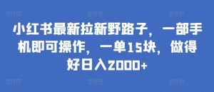小红书最新拉新野路子，一部手机即可操作，一单15块，做得好日入2000+【揭秘】-16888副业资讯