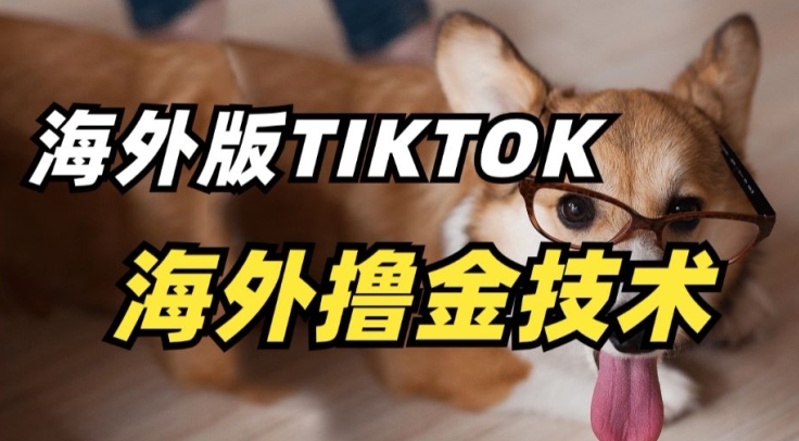 抖音海外版tiktok撸金技术，这个风口行业，赚钱真的不难【揭秘】-16888副业资讯