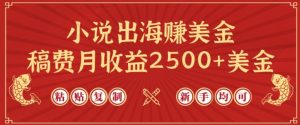 小说出海赚美金，稿费月收益2500+美金，仅需chatgpt粘贴复制，新手也能玩转【揭秘】-16888副业资讯