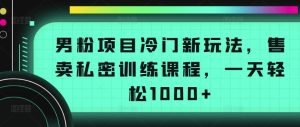男粉项目冷门新玩法，售卖私密训练课程，一天轻松1000+【揭秘】-16888副业资讯