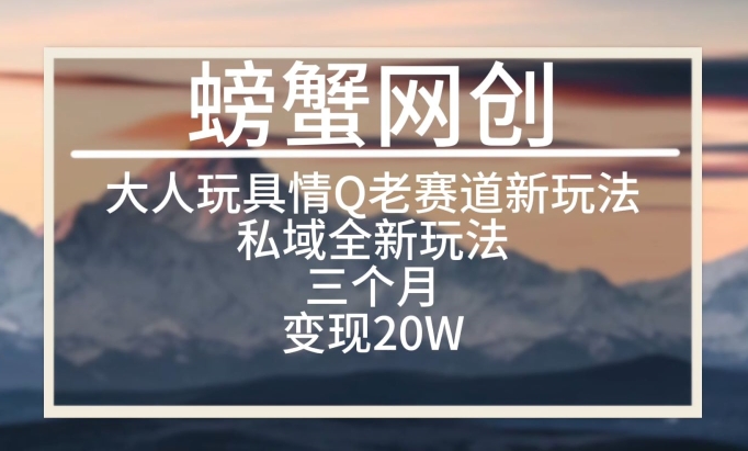 大人玩具情Q用品赛道私域全新玩法，三个月变现20W，老项目新思路【揭秘】-16888副业资讯