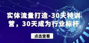实体流量打造-30天特训营,30天成为行业标杆-16888副业资讯