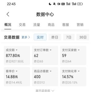 拼多多虚拟U盘电商红利项目:月赚2万+,新手小白也能玩-16888副业资讯