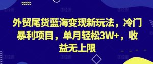 外贸尾货蓝海变现新玩法，冷门暴利项目，单月轻松3W+，收益无上限【揭秘】-16888副业资讯