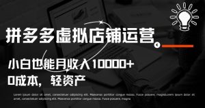 拼多多虚拟店铺运营小白也能月收入10000+【揭秘】-16888副业资讯