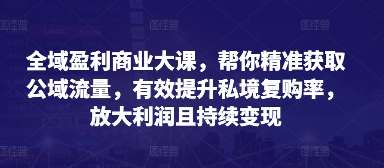 全域盈利商业大课，帮你精准获取公域流量，有效提升私境复购率，放大利润且持续变现-16888副业资讯