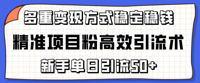 精准项目粉高效引流术，新手单日引流50+，多重变现方式稳定赚钱【揭秘】-16888副业资讯