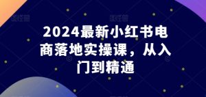 2024最新小红书电商落地实操课,从入门到精通-16888副业资讯