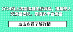 2024线上流量操盘实战课程，搭建高人效流量团队，掌握多平台流量-16888副业资讯