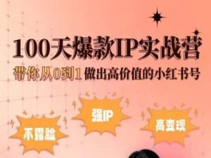 小红书100天爆款IP实战营，带你从0到1做出高价值的小红书号-16888副业资讯