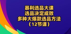 暴利选品大课：选品决定成败，教你多种大爆款选品方法(12节课)-16888副业资讯