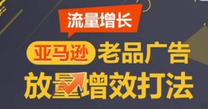 亚马逊流量增长-老品广告放量增效打法，循序渐进，打造更多TOP listing​-16888副业资讯