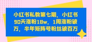 小红书私教第七期，小红书90天涨粉18w，1周涨粉破万，半年矩阵号粉丝破百万-16888副业资讯