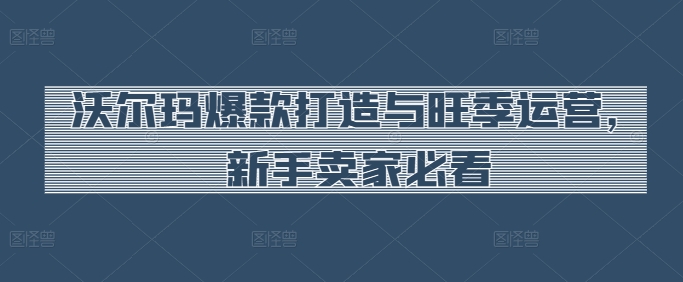 沃尔玛爆款打造与旺季运营，新手卖家必看-16888副业资讯