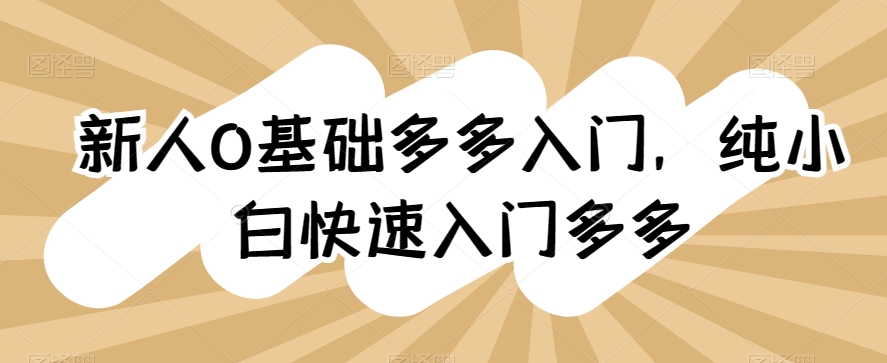 新人0基础多多入门，​纯小白快速入门多多-16888副业资讯