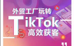 外贸工厂玩转TikTok高效获客,多种引流方式与账号定位技巧,拆解爆款短视频打造成功案例-16888副业资讯
