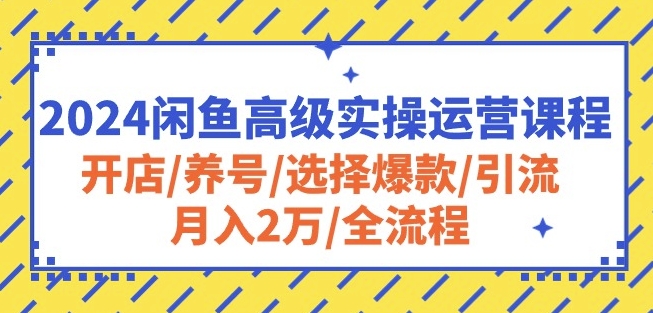 2024闲鱼高级实操运营课程：开店/养号/选择爆款/引流/月入2万/全流程-16888副业资讯