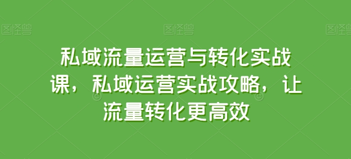 私域流量运营与转化实战课，私域运营实战攻略，让流量转化更高效-16888副业资讯