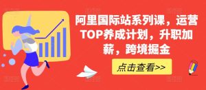 阿里国际站系列课,运营TOP养成计划,升职加薪,跨境掘金-16888副业资讯