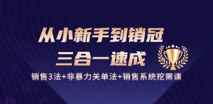 从小新手到销冠 三合一速成：销售3法+非暴力关单法+销售系统挖需课 (27节)-16888副业资讯